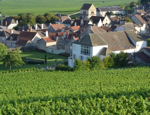 Diffusion Domaine Marquis d’Angerville